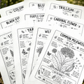 Wildflower Educational Color Pages(10) -Instant download