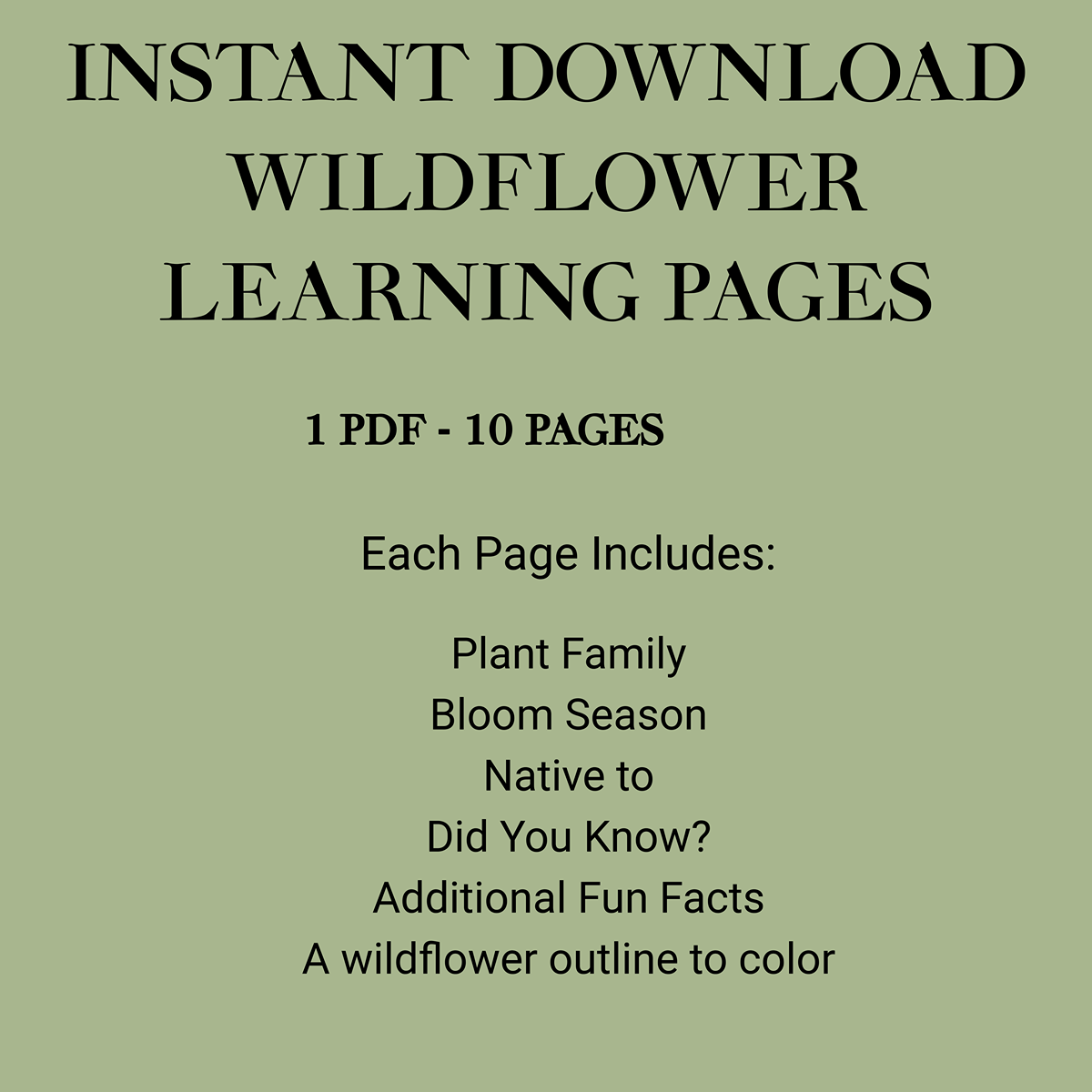 Wildflower Educational Color Pages(10) -Instant download
