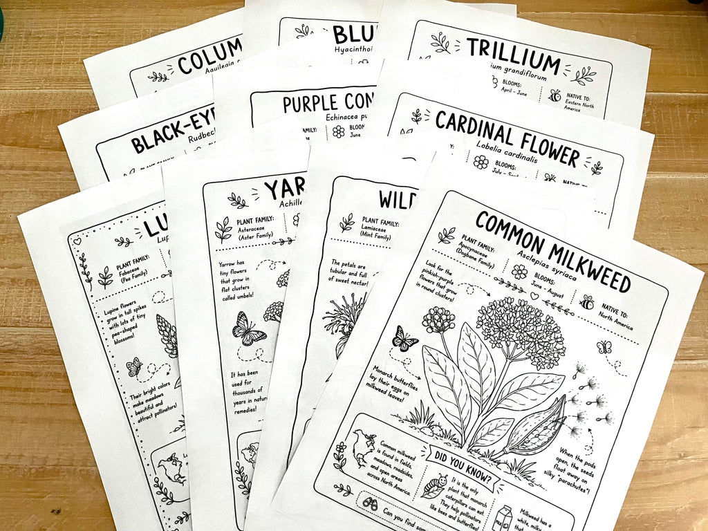 Wildflower Educational Color Pages(10) -Instant download